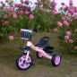 Tricicleta cu pedale pentru copii, maxim 35 kg, 2 cosulete de depozitare, cadru otel, roti spuma EVA, roz