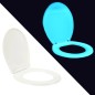 Capac de WC fosforescent, lumineaza turcoaz in intuneric, soft close, RESIGILAT