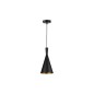 Lustra moderna pentru living, iluminare LED, 1 pendul, 35W, E27, IP20, negru/auriu