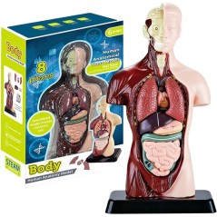 Jucarie educativa, anatomia omului - organe, 10 parti detasabile, 29x18x9 cm