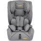 Scaun auto pentru copii, ISOFIX, sistem SPS, i-Size, 76-150 cm, spatar detasabil, gri