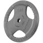 Disc fitness metal, multi-grip, 10kg, diametru 26,5mm, gri