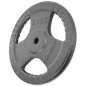 Disc fitness metal, multi-grip, 20kg, diametru 26,5mm, gri