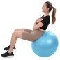 Minge fitness gonflabila 65cm, pompa inclusa, material aderent, sarcina maxima 100kg, bleu