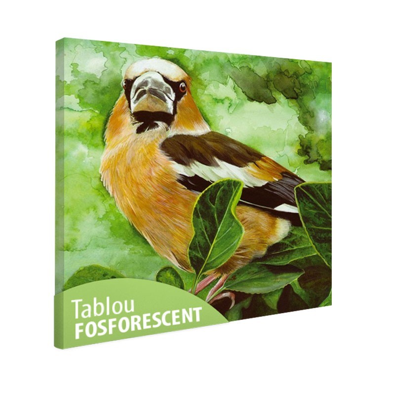 Tablou fosforescent Pasare Botgros 