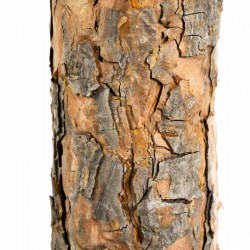 Brad artificial de Craciun, Pine Deluxe  220 cm cu conuri naturale, varfuri albe, tulpina de lemn, suport inclus